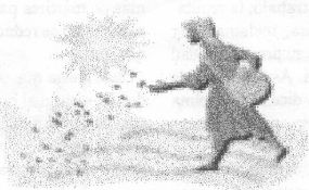 Tierra F�rtil, Noviembre de 2002.