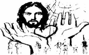 Tierra F�rtil, Diciembre de 2002